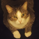 Please use me shy :> Discord server icon