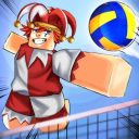 Volleyball Legends Trading Discord server icon