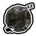 miwa  ˚. ᵎᵎ