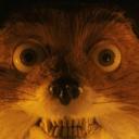 fantastic mr fox roleplay