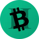 Bitcoin Cash II (BCH2) Network