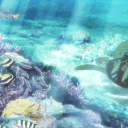 The Splash Zone 🌊 Discord server icon