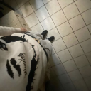 𝗦𝗼𝗰𝗶𝗮𝗹 𝗟𝗼𝘂𝗻𝗴𝗲┃𝖨𝗇𝗍𝗋𝗈+𝗌𝖾𝗅𝖿𝗂𝖾 𝗓𝗈𝗇𝖾𝗌┃𝗇𝖾𝗐 𝖿𝗋𝗂𝖾𝗇𝖽𝗌 𝗐𝖺𝗂𝗍𝗂𝗇𝗀┃𝖼𝗈𝗆𝗆𝗎𝗇𝗂𝗍𝗒 𝖻𝗎𝗂𝗅𝖽𝗂𝗇𝗀 Discord server icon