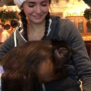 ✧　　˚　🌸　　koyuki　　#sanctuary Discord server icon