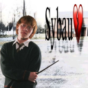 2026 cancelled Hogwarts