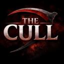 Server Icon