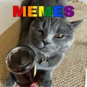 Memes