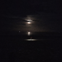 The community Discord server icon