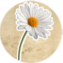 "Dear Daisy"//AUDITIONS Discord server icon