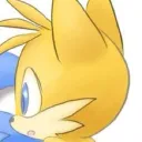 🦊🔧foxes workshop🔧🦊 discord icon