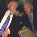 𝚂𝚊𝚏𝚎-𝙰𝚗𝚌𝚑𝚘𝚛𝚊𝚐𝚎 Discord server icon