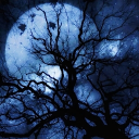 「𝐎𝐁𝐒𝐈𝐃𝐈𝐀𝐍」. Discord server icon