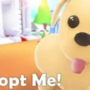 ADM Pets Point Center Discord server icon