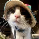 : 𝓣he Tiktok fempire ෆ