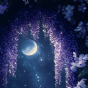 Moonglow Garden Discord server icon