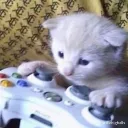 BHCC gaming club/hangout