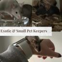Exotic & Small Pet Keepers🪿
