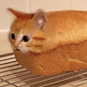 The Salty Snack Bar Discord server icon