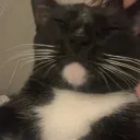 Female friends discord icon