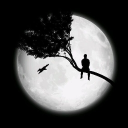 OMAR_JAMES_001's football predictions server