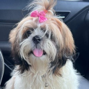 Daddy sam 🦋💕's server