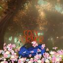 Cozy Corner 21+