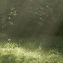 /𝕡𝕙𝕠𝕟𝕖𝕣𝕤 Discord server icon