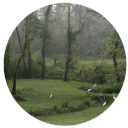 𝒟𝘰𝘸𝘯 𝐵𝘺  𝒯𝘩𝘦 𝐵𝘢𝘺𝘰𝘶 ₁₈₊ Discord server icon