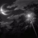 𝕌𝕄𝔹ℝ𝔸𝔼 | 𝕀𝔻𝕍 Discord server icon