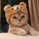 speranza enjoyers Discord server icon