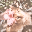 ﹒𝓬ozyville  ྀི