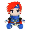 P+ Roy R&D