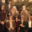 The fellowship of Wolvesville
