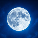 .gg/BlueMoon Discord server icon