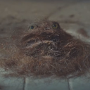 $TRIM Discord server icon