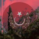 Ankaria Community“ server icon