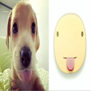 yesterday Discord server icon