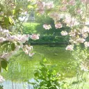 Eternal Garden ₊˚⊹ᰔ