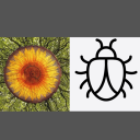 TACOL partnerships Discord server icon