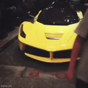 zyphora Discord server icon