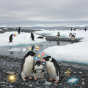 CHILL PENGUINS 🐧 Discord server icon