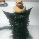 scuffels alleyway 2 Discord server icon