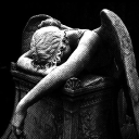 𓈈̫  ཾ  𝔑𝔦𝔤𝔥𝔱𝔣𝔞𝔩𝔩 𝔇𝔬𝔪𝔦𝔫𝔦𝔬𝔫 ຽ𓂂ᣟ Discord server icon