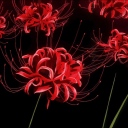 ghost lobby Discord server icon