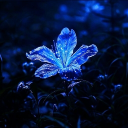 沈月庭 Discord server icon