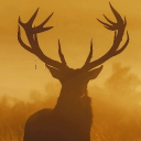 The Noon Saloon Discord server icon