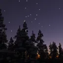 Project Zephyr Starlight