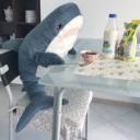 🦈💙Blåhaj Gemeinschaft💙🦈
