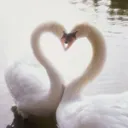 ᴜɴɪᴛʏ