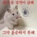 들어와